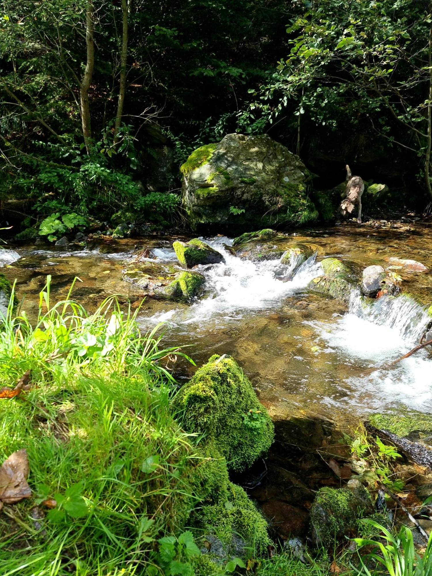 Roubenka Mlyn U Skaly Destne V Orlickych Horach Volne Terminy 5 Bytu Ngoại thất bức ảnh